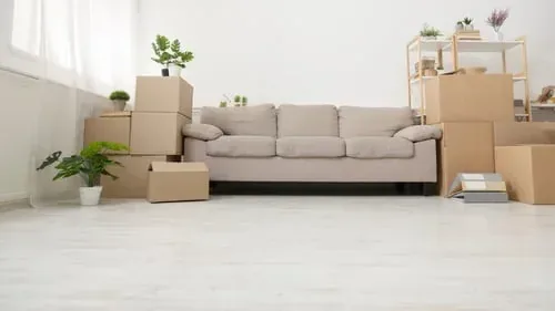 Neutral living room mid-declutter with packing boxes, a linen sofa and houseplants